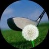 golfgirl1313